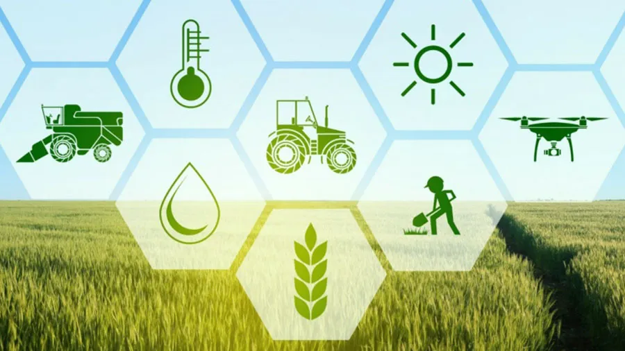 learn about Agriculture Sector