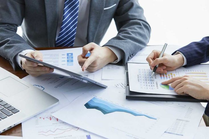 Foreign Institutional Investors