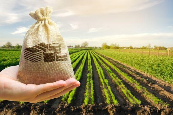 Learn about Agricultural Income and Its Tax Implications